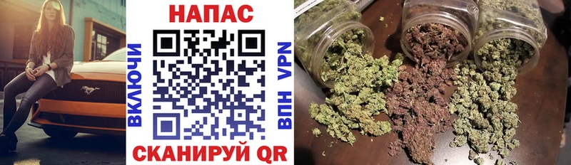 Где купить наркотики Гусев Амфетамин  ГАШ  КОКАИН 