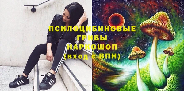 spice Богородицк
