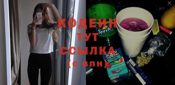 spice Богородицк
