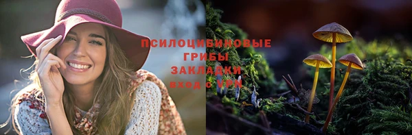 spice Богородицк