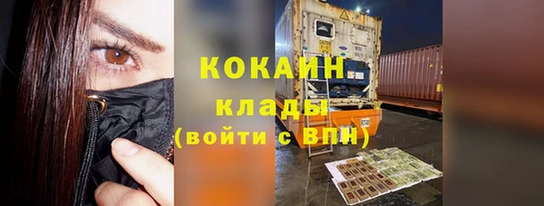 spice Богородицк