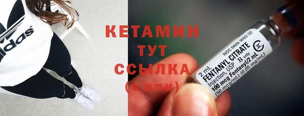 spice Богородицк