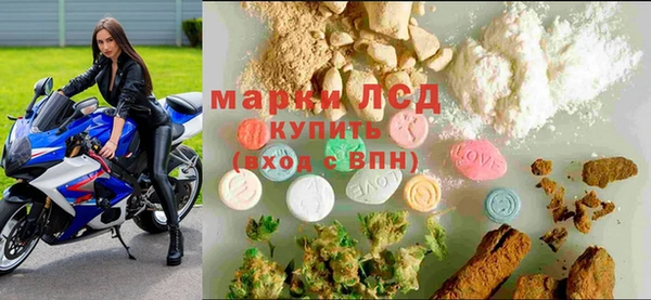 spice Богородицк