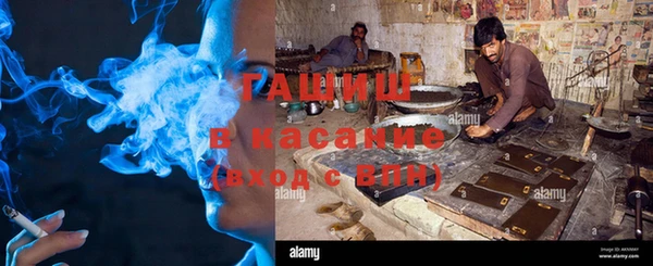 spice Богородицк