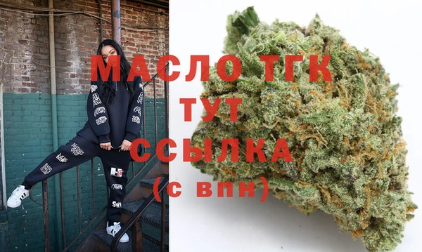 spice Богородицк