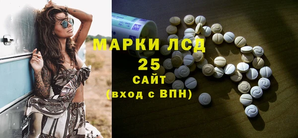 spice Богородицк