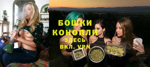 дживик Белоозёрский