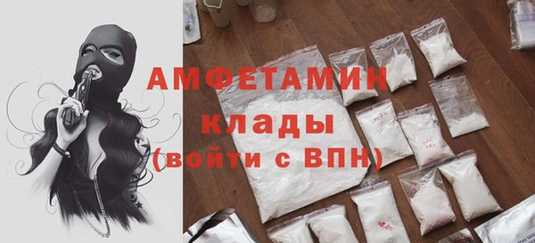 spice Богородицк