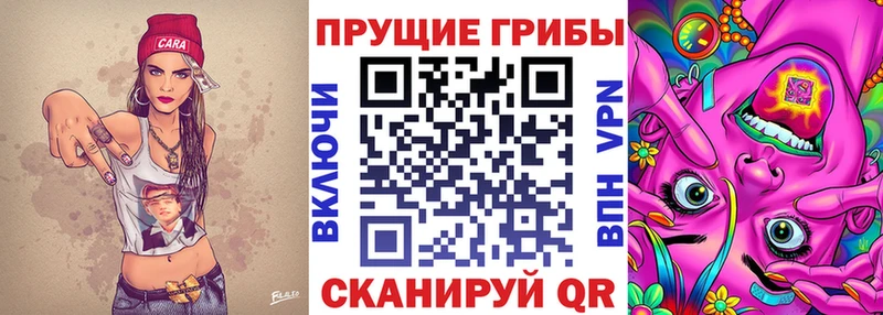 Галлюциногенные грибы Magic Shrooms  это наркотические препараты  Гусев 