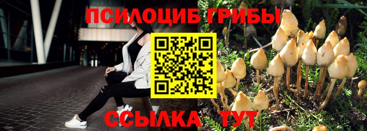 Галлюциногенные грибы GOLDEN TEACHER  Галлюциногенные грибы Psilocybe  Вход с VPN  магазин продажи наркотиков  Гусев 